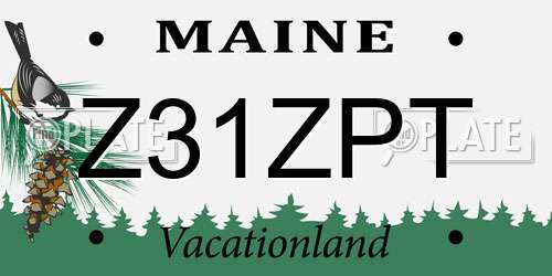 Z31ZPT Maine License Plate