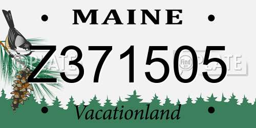 Z371505 Maine License Plate
