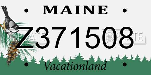 Z371508 Maine License Plate