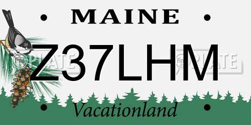 Z37LHM Maine License Plate