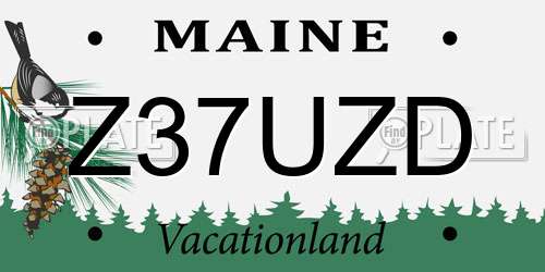 Z37UZD Maine License Plate