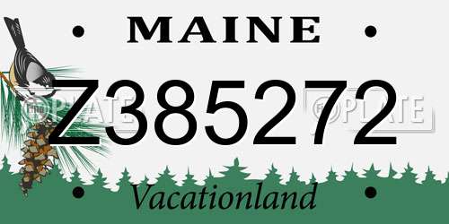 Z385272 Maine License Plate