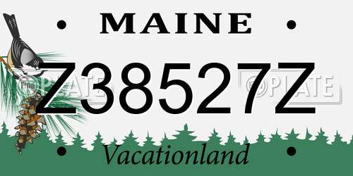 Z38527Z Maine License Plate