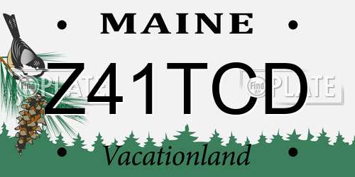 Z41TCD Maine License Plate
