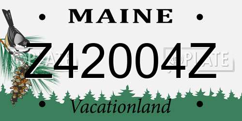 Z42004Z Maine License Plate