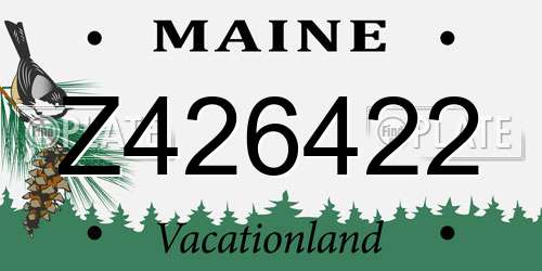 Z426422 Maine License Plate