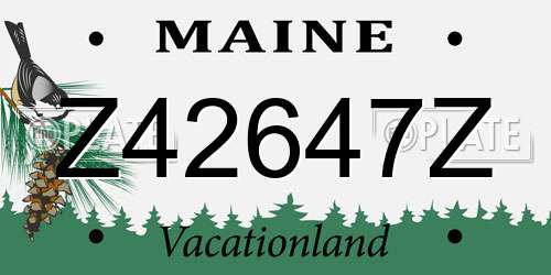 Z42647Z Maine License Plate