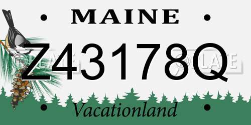 Z43178Q Maine License Plate