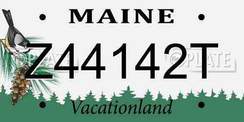 Z44142T Maine License Plate