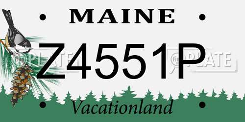 Z4551P Maine License Plate