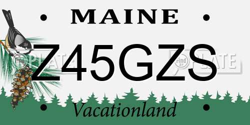 Z45GZS Maine License Plate