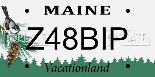 Z48BIP Maine License Plate