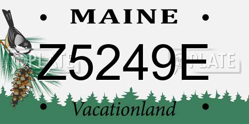 Z5249E Maine License Plate