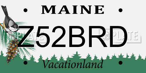 Z52BRD Maine License Plate