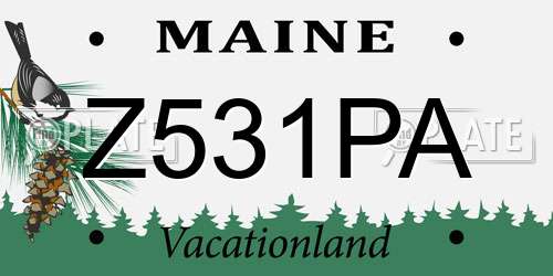 Z531PA Maine License Plate