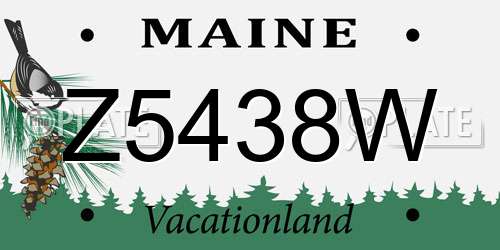 Z5438W Maine License Plate