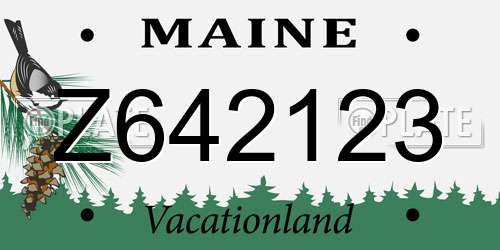 Z642123 Maine License Plate