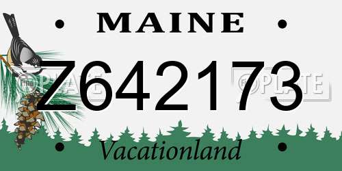 Z642173 Maine License Plate