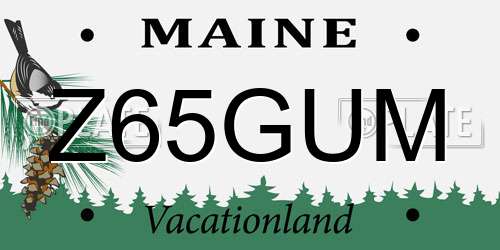 Z65GUM Maine License Plate