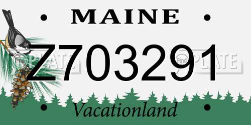 Z703291 Maine License Plate