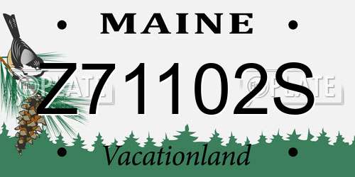 Z71102S Maine License Plate