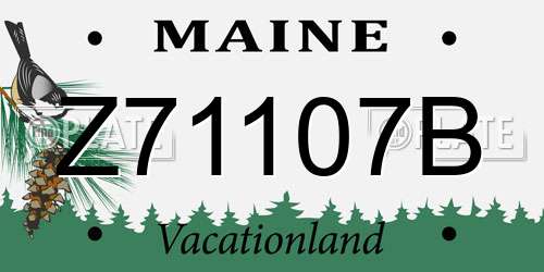 Z71107B Maine License Plate