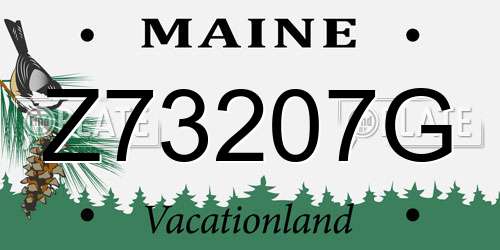 Z73207G Maine License Plate