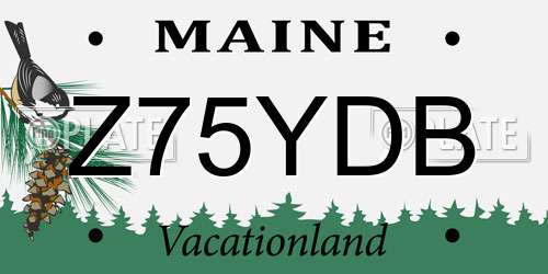 Z75YDB Maine License Plate