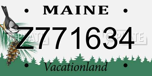 Z771634 Maine License Plate