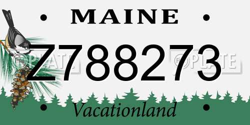 Z788273 Maine License Plate