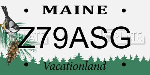 Z79ASG Maine License Plate