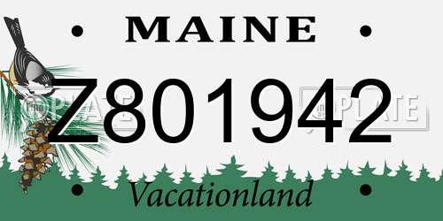 Z801942 Maine License Plate