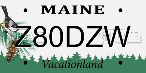 Z80DZW Maine License Plate