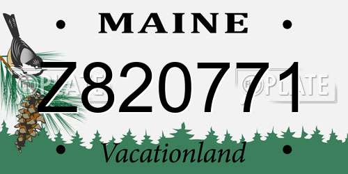 Z820771 Maine License Plate