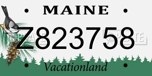 Z823758 Maine License Plate