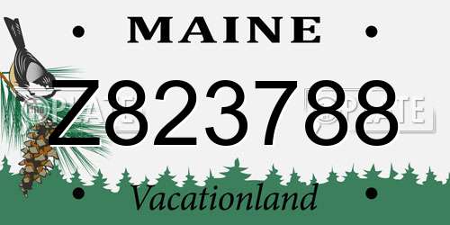 Z823788 Maine License Plate