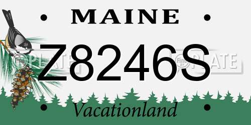 Z8246S Maine License Plate