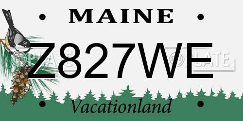 Z827WE Maine License Plate