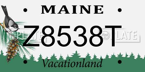 Z8538T Maine License Plate