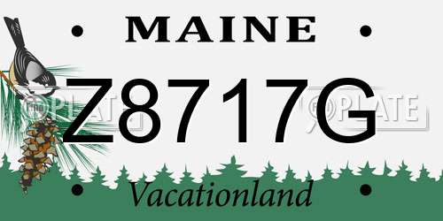 Z8717G Maine License Plate