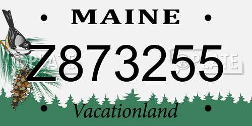 Z873255 Maine License Plate