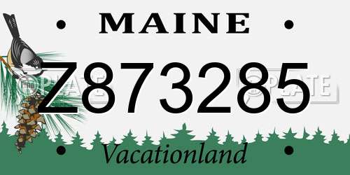Z873285 Maine License Plate