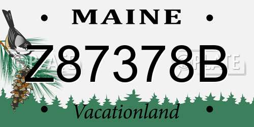 Z87378B Maine License Plate