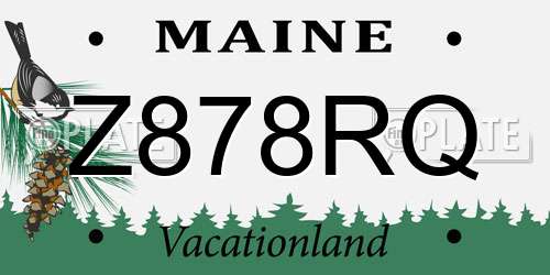 Z878RQ Maine License Plate