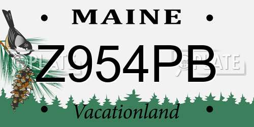 Z954PB Maine License Plate