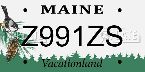 Z991ZS Maine License Plate