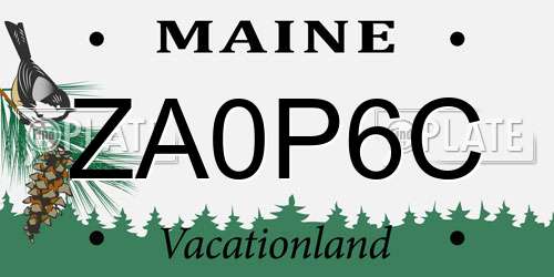 ZA0P6C Maine License Plate