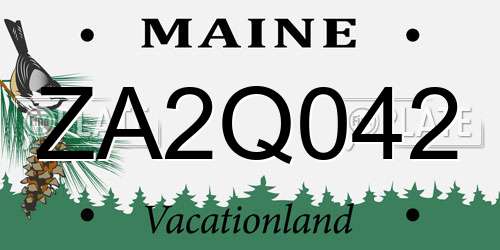 ZA2Q042 Maine License Plate