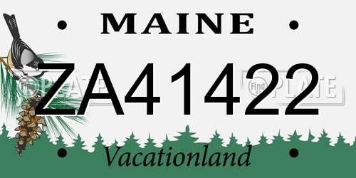 ZA41422 Maine License Plate