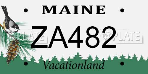 ZA482 Maine License Plate